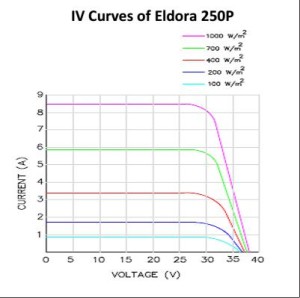 Eldora250P